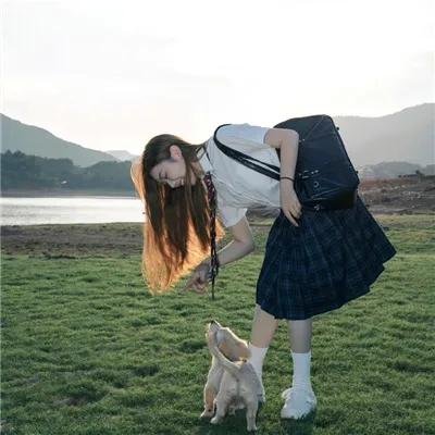 日本昆虫记